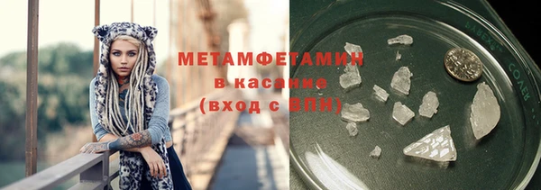 крисы Корсаков