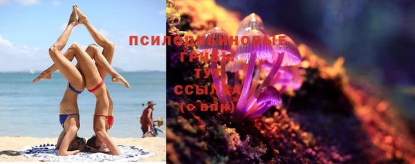 твердый Коряжма