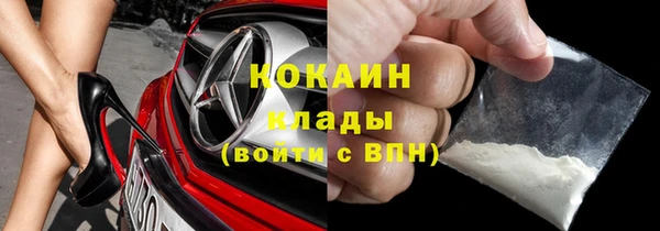 твердый Коряжма