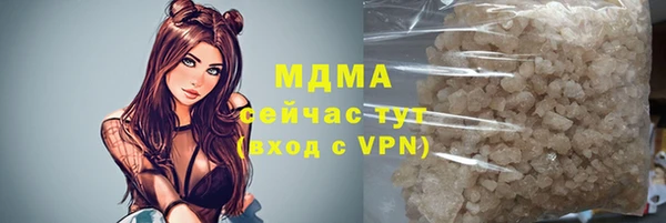 крисы Корсаков