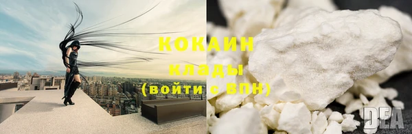 твердый Коряжма