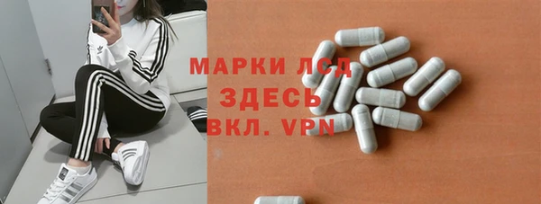 крисы Корсаков