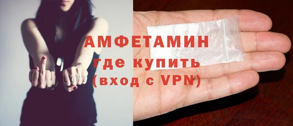крисы Корсаков