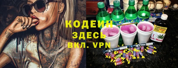крисы Корсаков