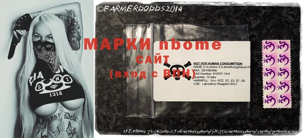 крисы Корсаков