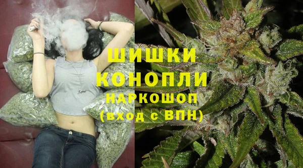 твердый Коряжма