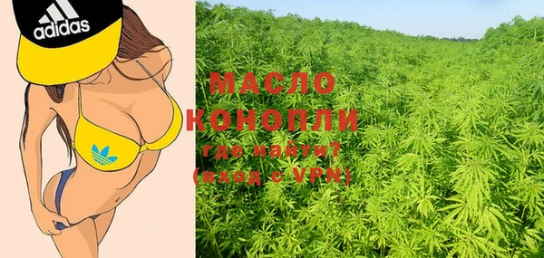 крисы Корсаков